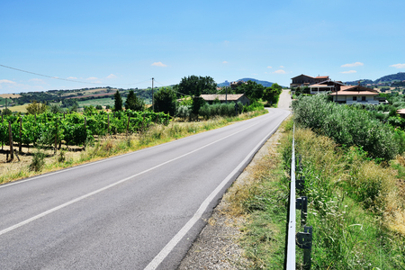 Paved road through countryside in Coriano, vineyards (near Rimini), Emilia-Romagna, Italy. Far viev to Monte Titano and San Marino.の写真素材