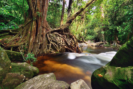 Beautiful waterfall in jungles at Kbal Spean near Siem Reap, Cambodia.の写真素材
