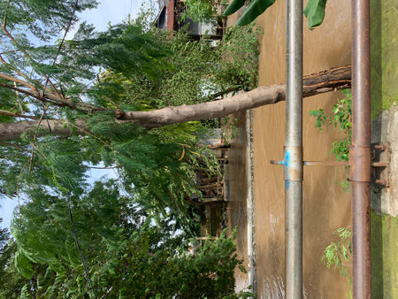 The landscape condition of the area that is being flooded is on the outskirts of the river and the water is overflowing.の写真素材
