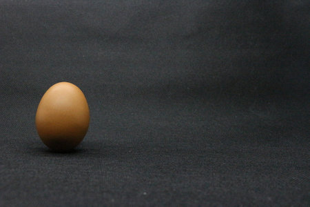 Brown egg on a black background. The concept of a healthy diet.の写真素材