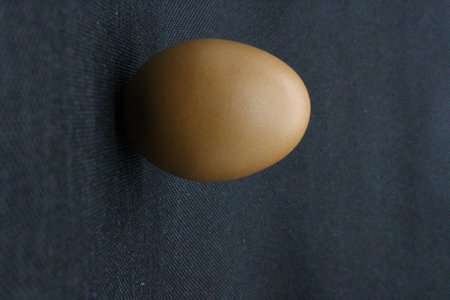 Egg on a black background. Close-up of egg.の写真素材