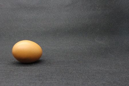 Egg on a black background, close-up, copy spaceの写真素材