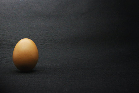 Brown egg on a black background. Close-up. Copy space. brown chicken eggs on a black backgroundの写真素材