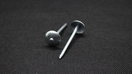 Zinc or asbestos nails. Made of iron with a round head resembling an umbrella. Often called tacks.の写真素材