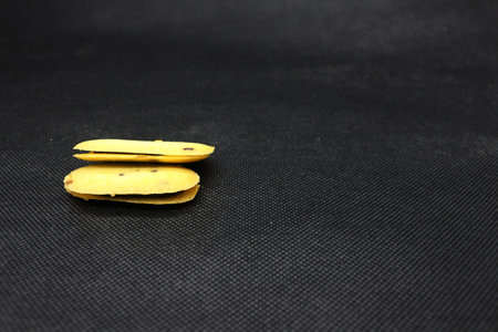 Portraits of cakes that are often served during Eid. There are castangel, nastar, snow cakes and others.の写真素材