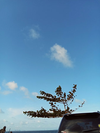 View of clouds and clear sky on the beach during the dayの写真素材