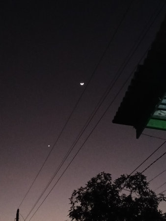Beautiful view of the moon and tree silhouettes above the house