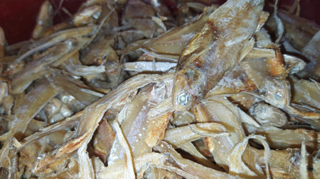 Various types of small fish are sold in traditional marketsの写真素材