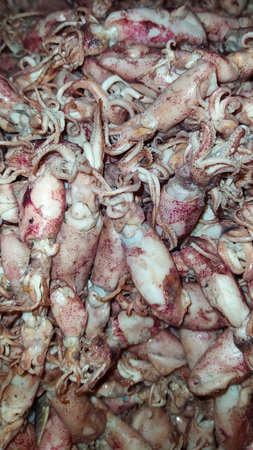 Small fresh squid sold in traditional markets
