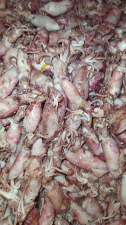 Small fresh squid sold in traditional markets