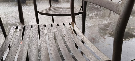 Garden chairs made of iron, with interesting motifs.の写真素材