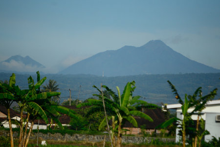 View of a mountain and green rice fields in the morning. Looks natural and beautiful.