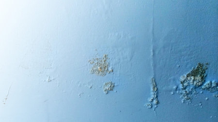 The blue house wall paint is moldy and peeling