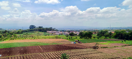 View of rice fields and hills in residential areas from above