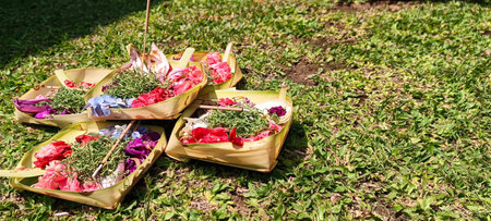 Offering flowers in Bali, a typical Hindu religious custom for prayer.の写真素材