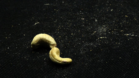 Cashew nuts isolated on black backgroundの写真素材