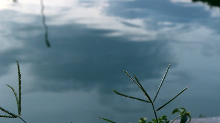 Close up of calm lake water on the side of the roadの写真素材