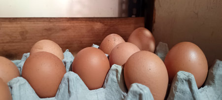 Close up of fresh chicken eggs in a carton
