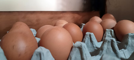 Close up of fresh chicken eggs in a carton