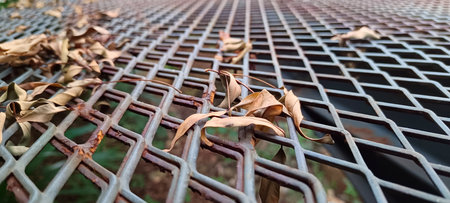 Fallen dry leaves scattered on the iron wireの写真素材