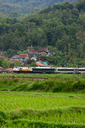Passenger trains cross green countryside with rice fields and hills