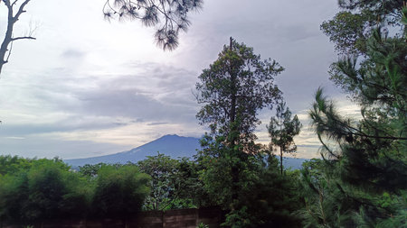 View of cloud-covered mountains and trees in the countryside