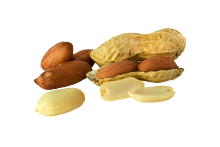 variouse opened organic peanuts isolated over white