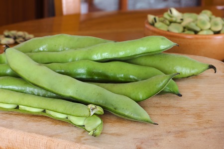 Fresh broad beans fava on wood tableの写真素材