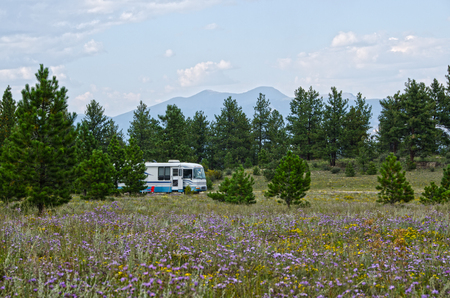 A large Class A motorhome is boondocking in the national forest, surrounded by wildflowers.の写真素材