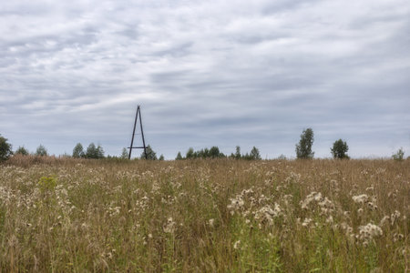 Rural landscape with a field of grass and a wooden ladder.の写真素材