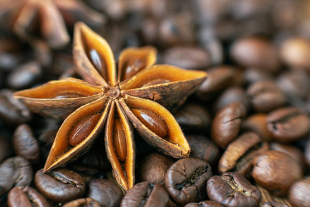 Coffee beans and star anise, close-up.の写真素材
