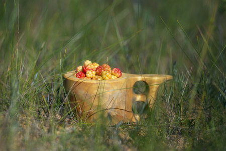 Wild berries Cloudberry in a wooden bowl on the grass. selective focus.の写真素材