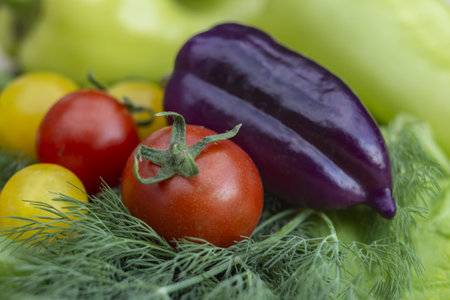 Vegetables in a basket with dill, cherry tomatoes and peppersの写真素材