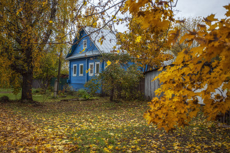 Autumn landscape with yellow leaves on the trees and blue wooden houseの写真素材