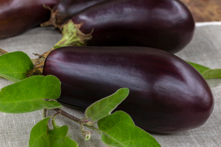 Fresh eggplants on a tablecloth, close-up.の写真素材