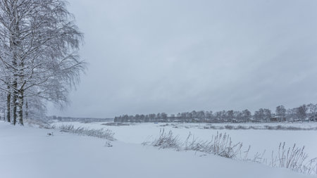 Winter landscape with snow covered fields and trees in cloudy day. Swedenの写真素材