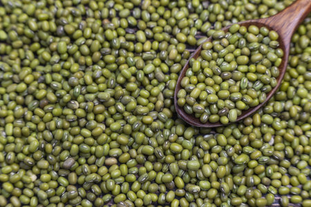 Green mung beans and wooden spoon on the table, close up