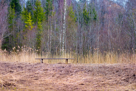 empty bench in the countryside in springtime. perspective in Latvia