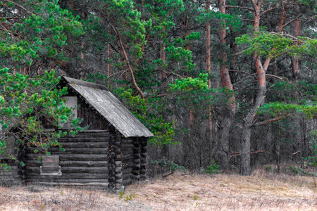 Old wooden house in the forest. Old wooden house in the forest.の写真素材