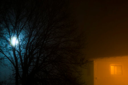 Old house at night with a full moon in the background. selective focus.の写真素材