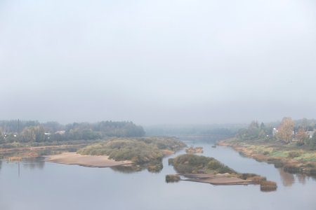 Landscape of foggy autumn lake with trees in the foreground.の写真素材