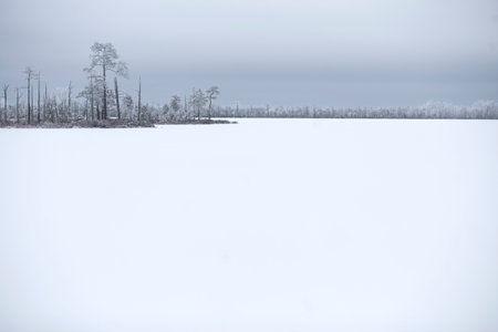 Winter landscape with frozen lake and trees in the foreground.の写真素材