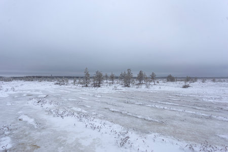 Winter landscape with frozen lake and snow-covered trees in the backgroundの写真素材