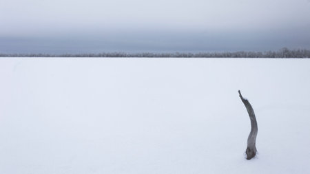Frozen landscape covered with snow. Old dry trees. Winter scene with frozen area and snow-covered trees in the backgroundの写真素材
