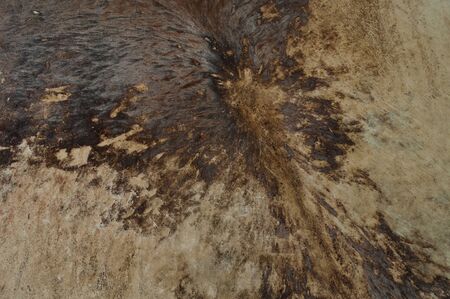 Old Buffalo Leather texture ,background