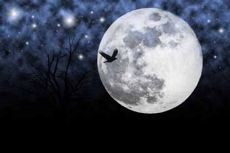 Night sky with moon and starsの写真素材