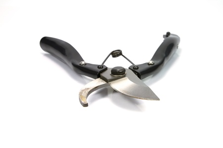 Shears for metal, isolated on white backgroundの写真素材