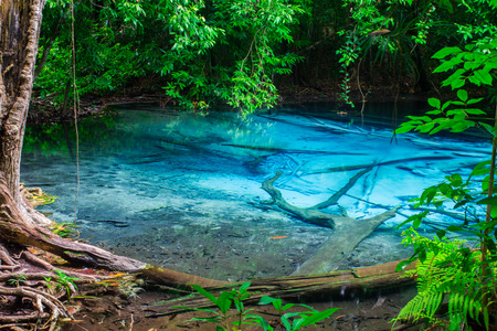 Emerald Pool is unseen pool at Krabi in Thailand.の写真素材
