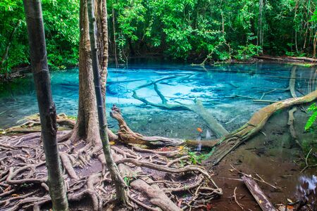Emerald Pool is unseen pool at Krabi in Thailand.の写真素材
