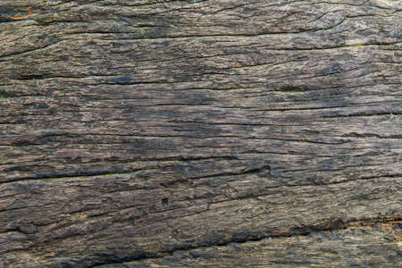 the old wood texture with natural patternsの写真素材